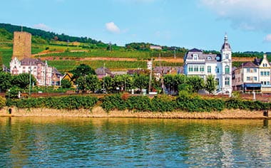 A view of Rüdesheim from the river, Germany